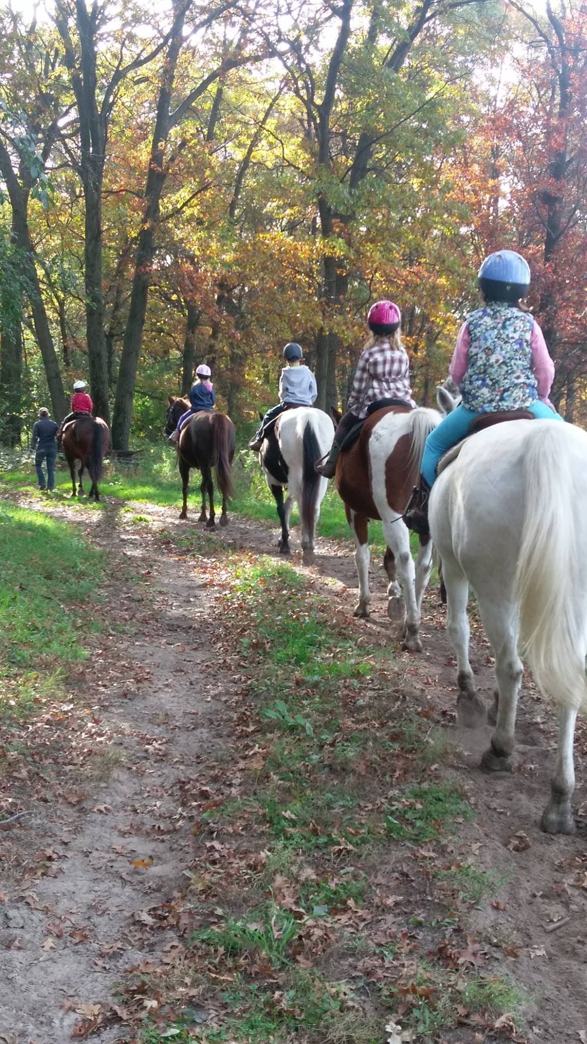 Bunker Park Stable Minneapolis / St. Paul Things to Do in the Twin