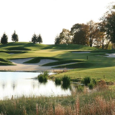 Chipping Away at COVID-19