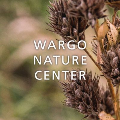 Nature Play: Crafty Camouflage