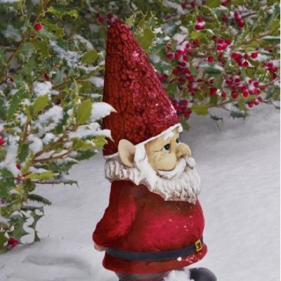 New Brighton Gnome Hunt @ Driftwood Park