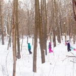 Winterfest (Fridley)