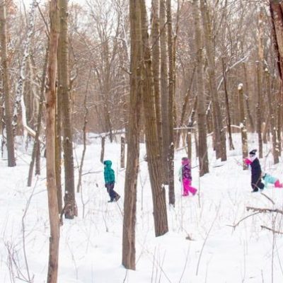 Winterfest (Fridley)