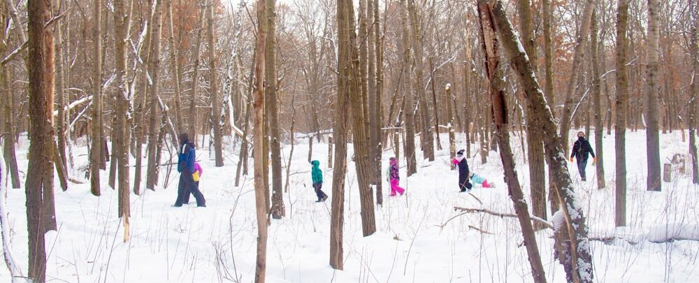 Winterfest (Fridley)