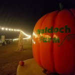 Flashlight Nights at Joyer Adventure Farm