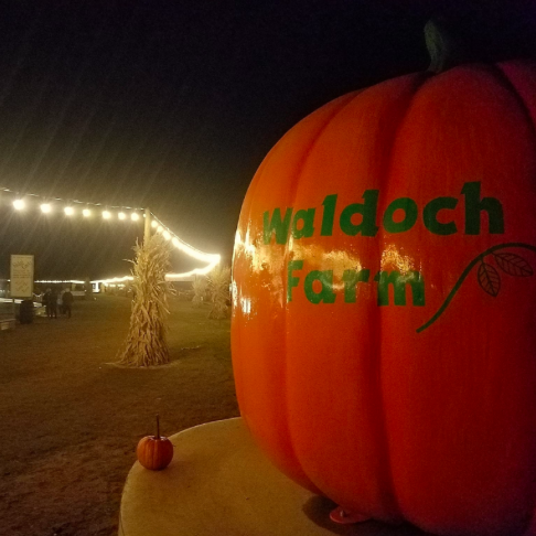 Flashlight Nights at Joyer Adventure Farm