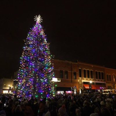 Anoka Tree Lighting
