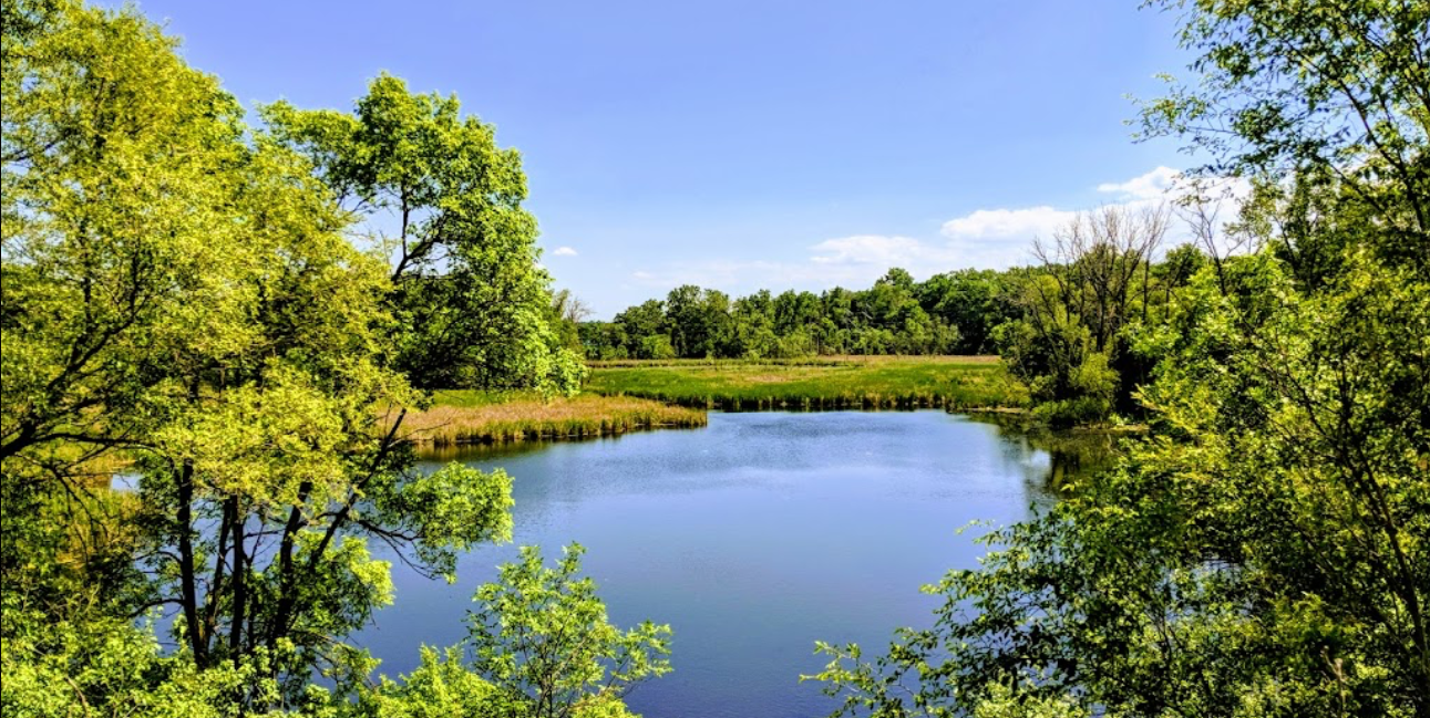 Discovering the Best-Kept Secrets of Arden Hills - Twin Cities Gateway