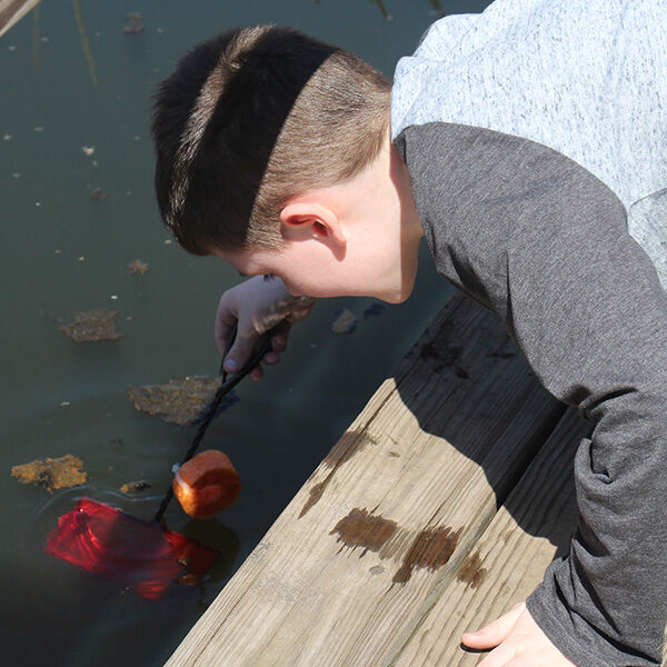 springbrook-enviromentday1