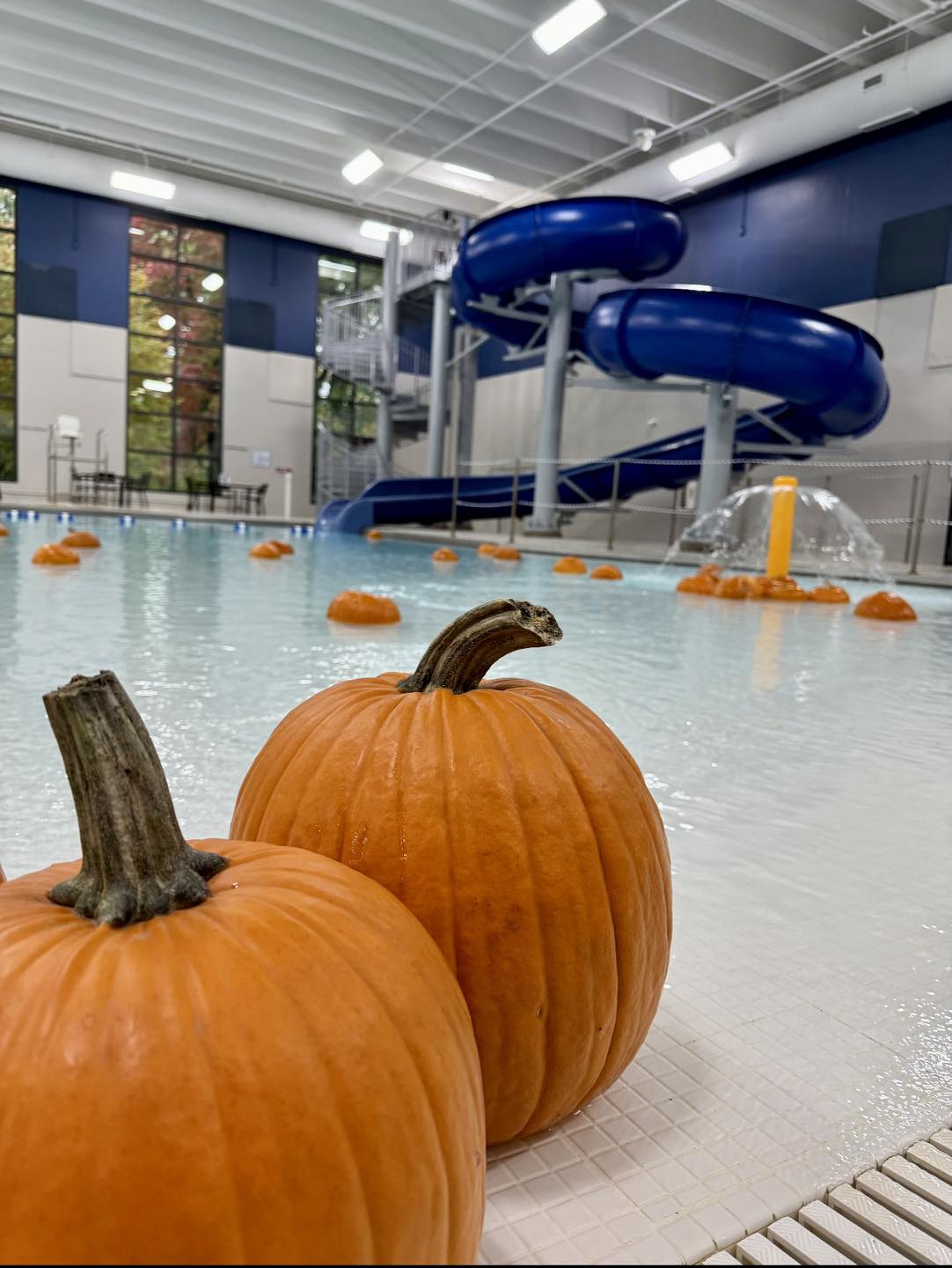 Bobbing for Pumpkins
