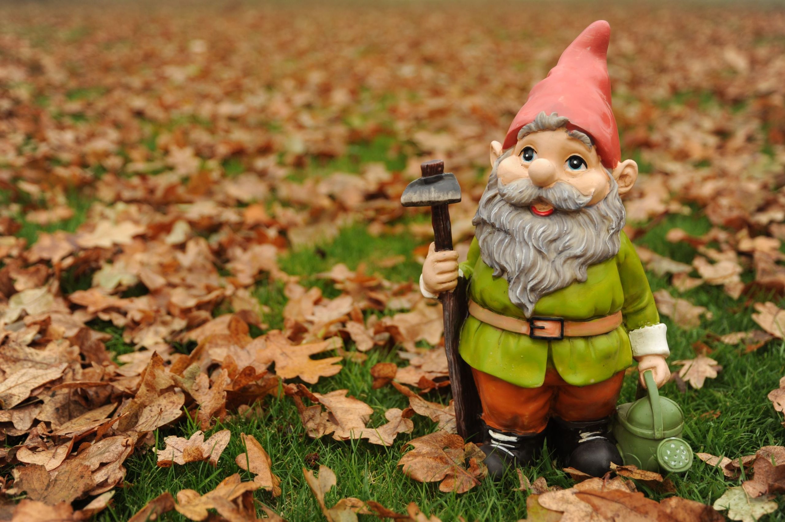 Gnomesgiving Gnome Hunt