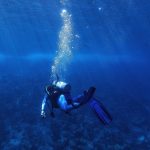 2023 Upper Midwest Scuba & Adventure Travel Show