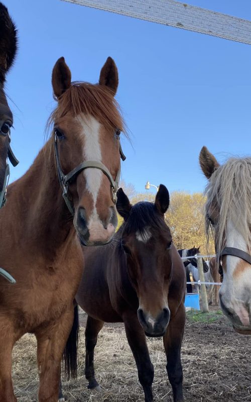 Home Twin Cities Gateway