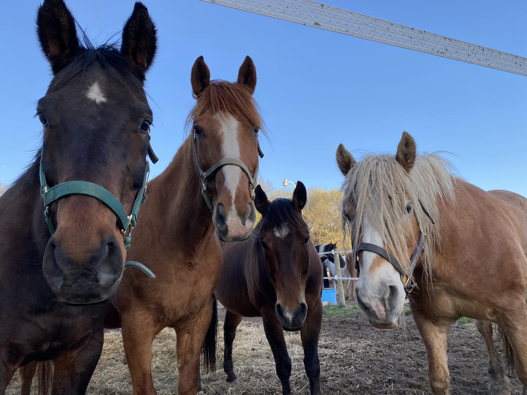 Bunker Hills Stables Horseback Riding