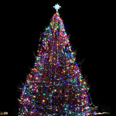 Coon Rapids Tree Lighting Festival