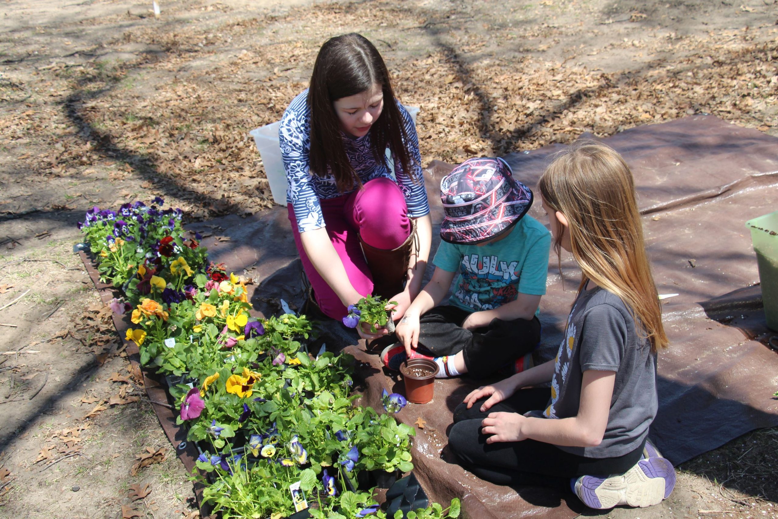 Environmental Fun Fair – Twin Cities Gateway