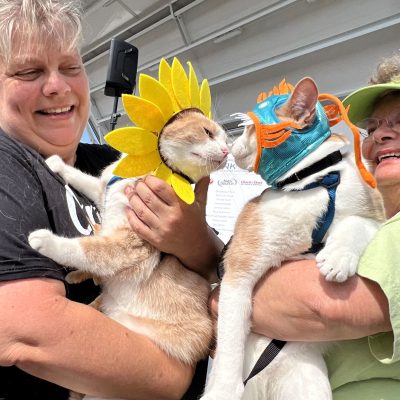 Love My Pet Fair
