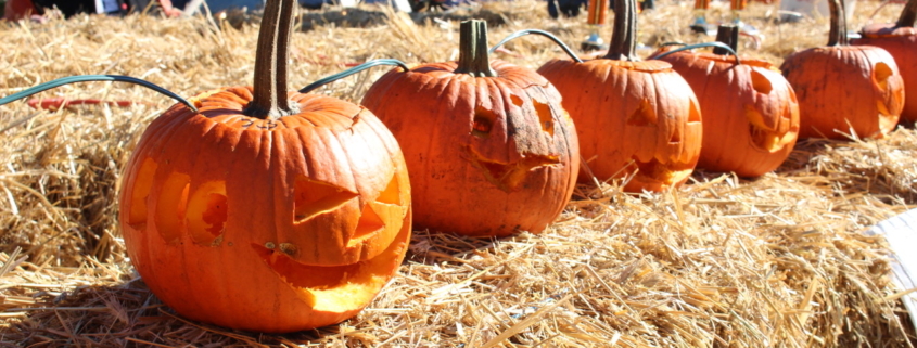 Children's Pumpkin Carving Contest