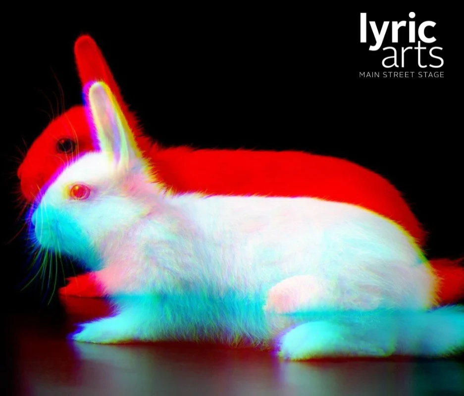 White Rabbit Red Rabbit