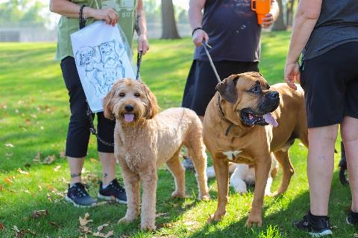 Bark in the Park – Twin Cities Gateway
