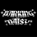 Barking Daisy